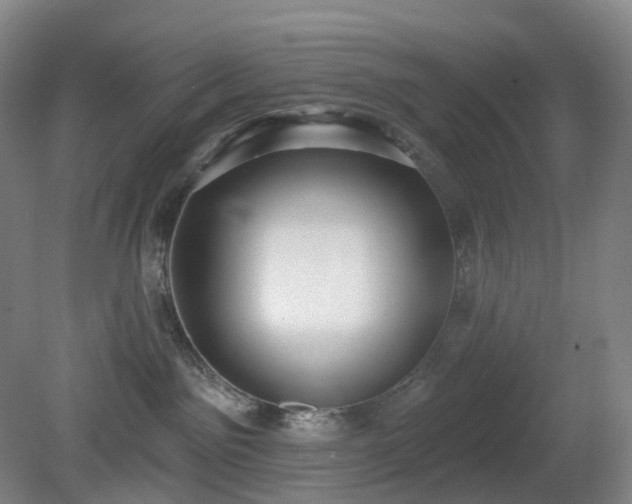 X0000081280141200701181753