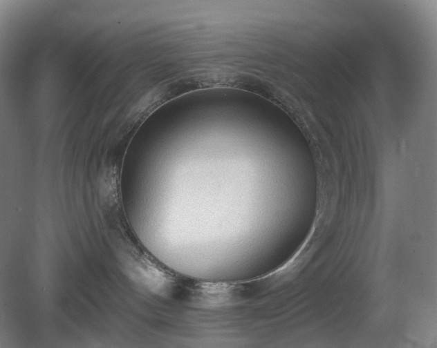 X0000081280144200701181753