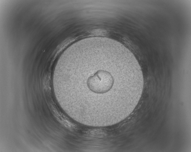 X0000081280146200701181752