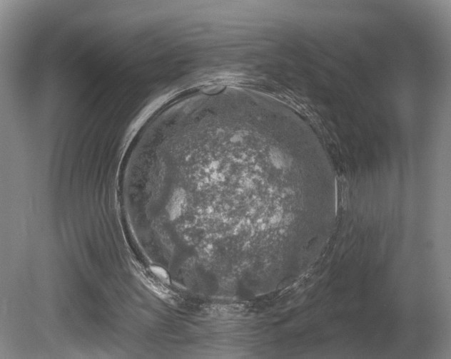 X0000081280147200701181752