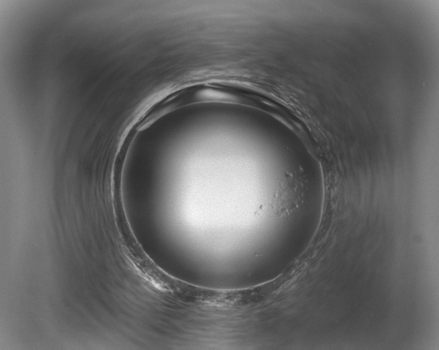 X0000081280148200701181752