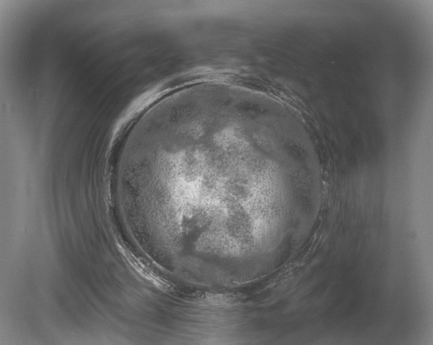 X0000081280149200701181752