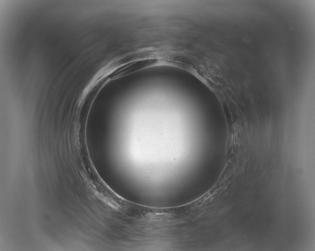 X0000081280150200701181752