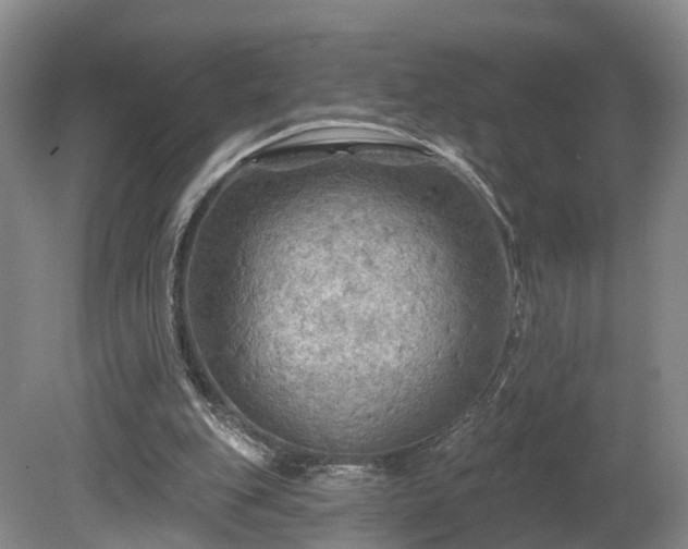 X0000081280151200701181752