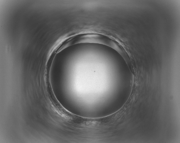 X0000081280152200701181752