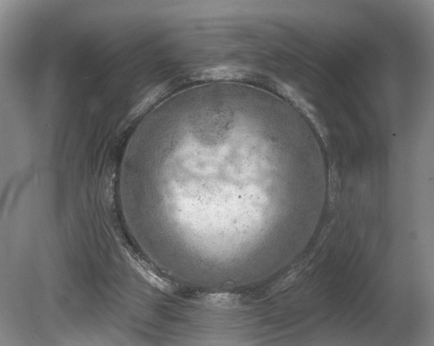 X0000081280153200701181752