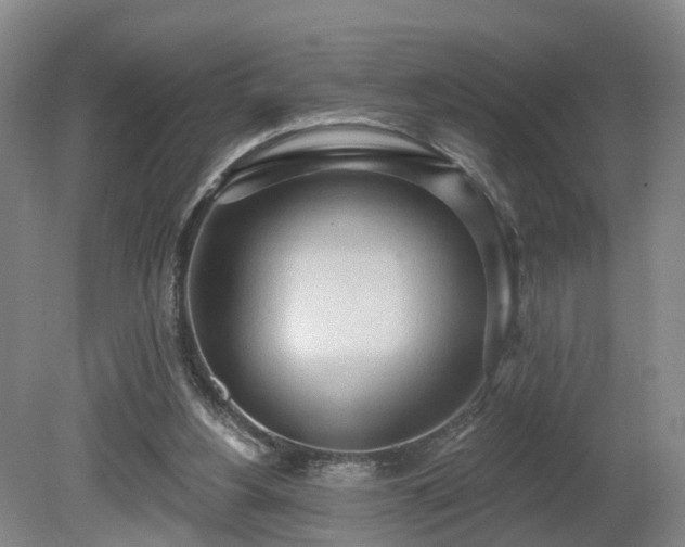 X0000081280156200701181752