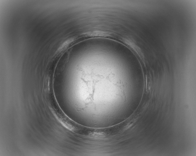 X0000081280157200701181752