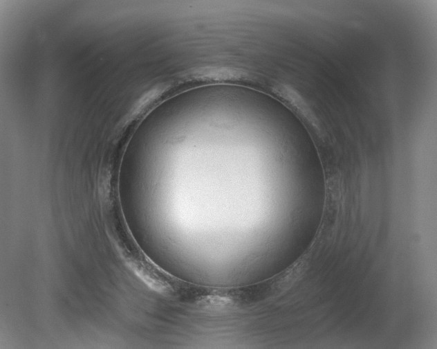 X0000081280159200701181752