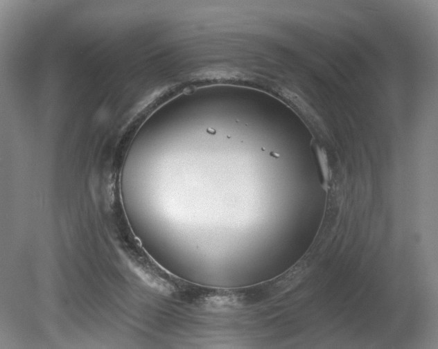 X0000081280160200701181752