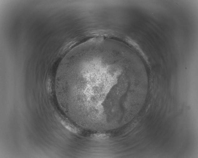 X0000081280161200701181752