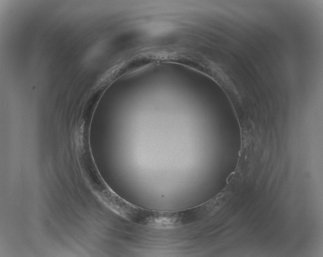 X0000081280163200701181752