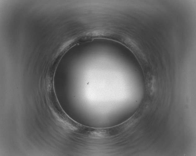 X0000081280164200701181752