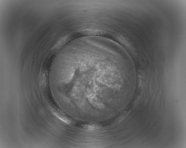 X0000081280165200701181752