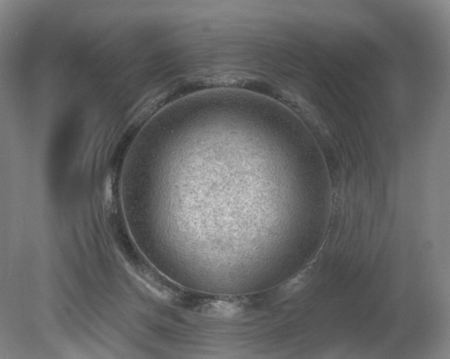 X0000081280166200701181752