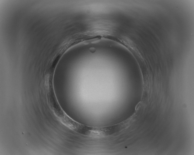 X0000081280167200701181752