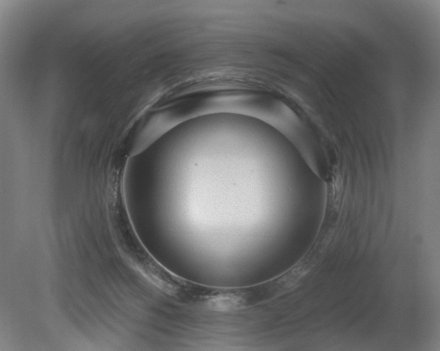 X0000081280168200701181752