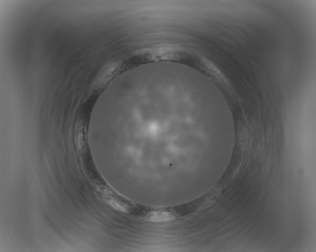 X0000081280169200701181752