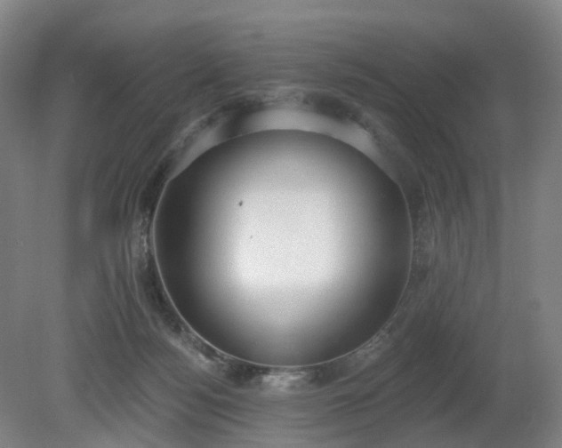 X0000081280172200701181752