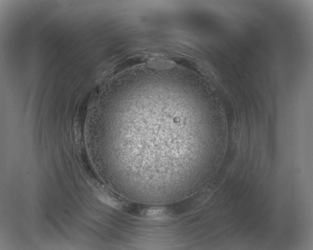 X0000081280173200701181752