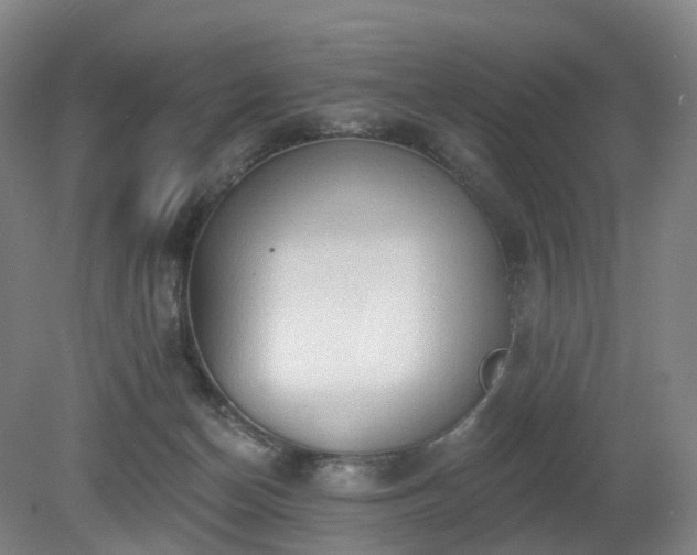 X0000081280174200701181752