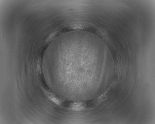 X0000081280175200701181752