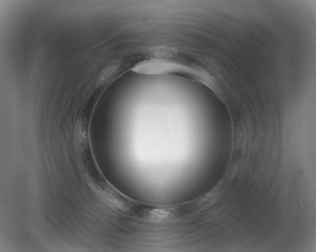 X0000081280176200701181752