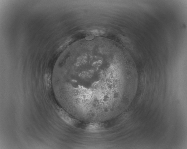 X0000081280177200701181752