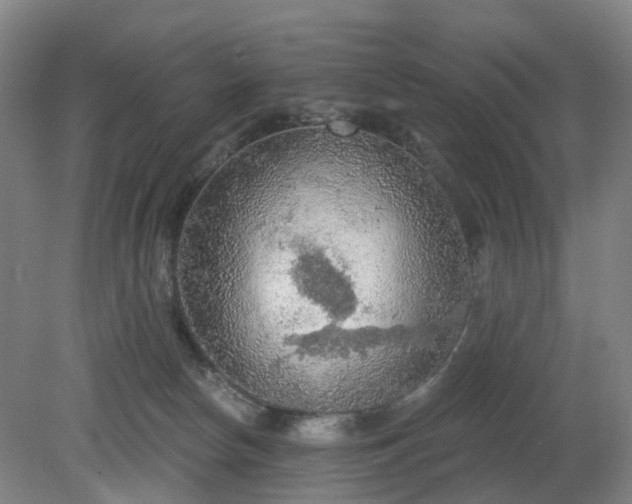 X0000081280178200701181752