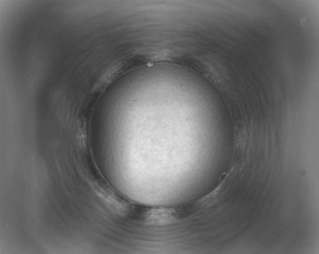 X0000081280179200701181752