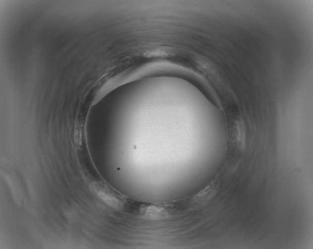 X0000081280180200701181752