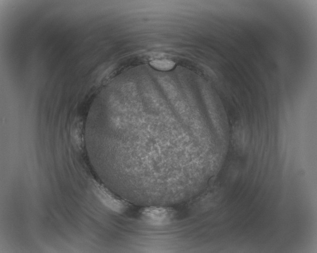 X0000081280181200701181752