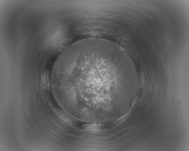 X0000081280182200701181752