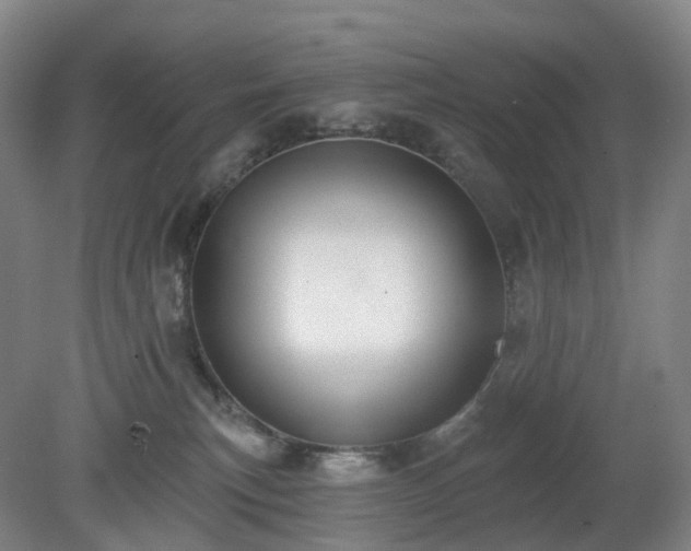 X0000081280183200701181752