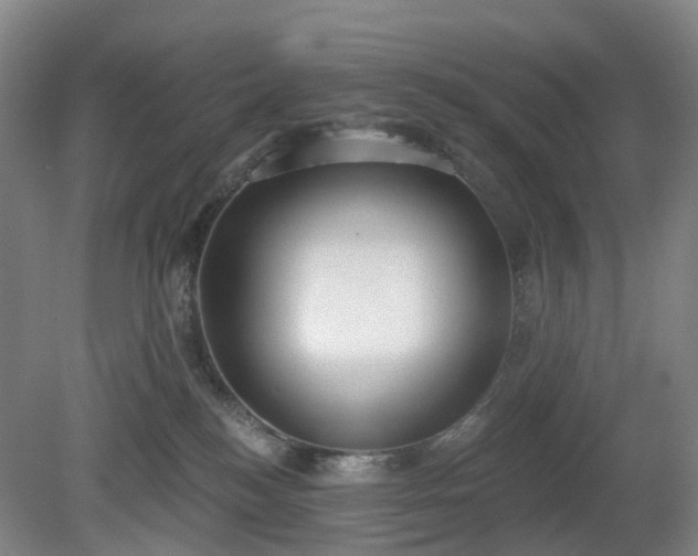 X0000081280184200701181752