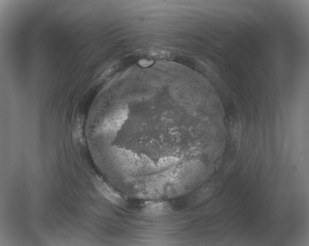 X0000081280185200701181752