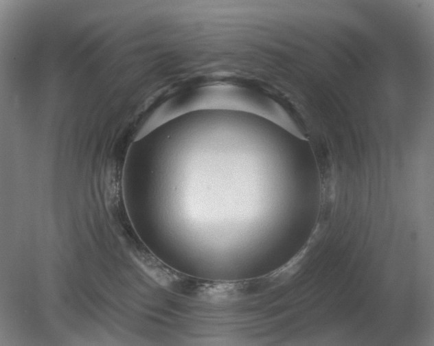 X0000081280186200701181752