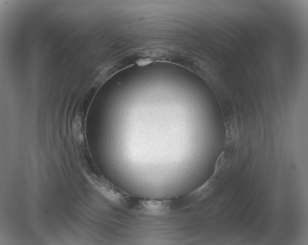 X0000081280187200701181752