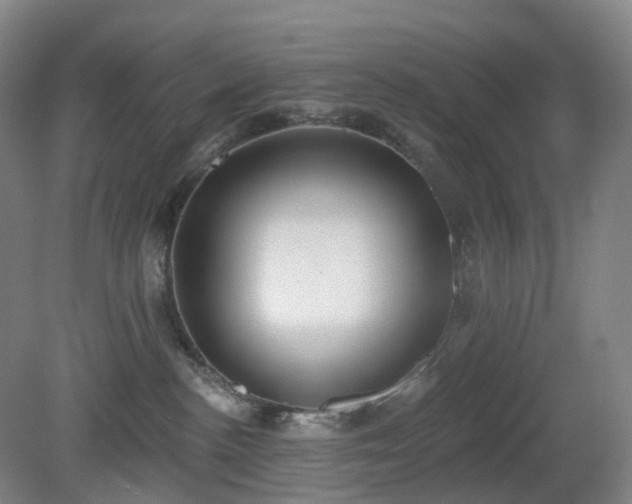 X0000081280188200701181752