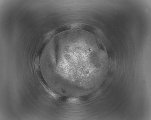 X0000081280189200701181752