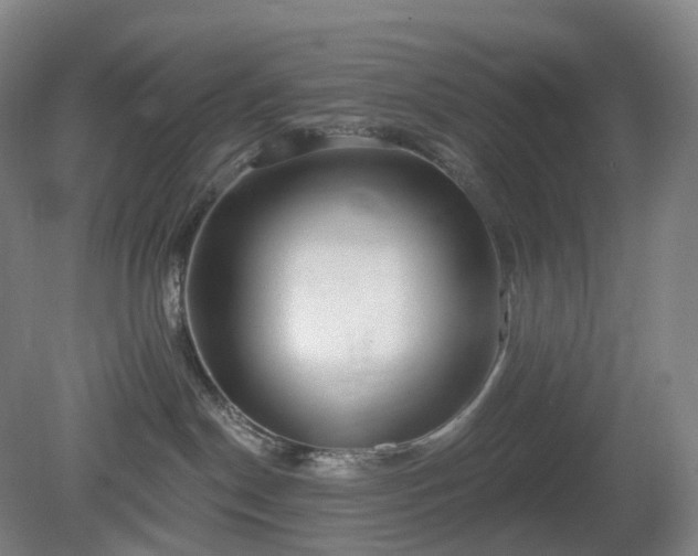 X0000081280190200701181752