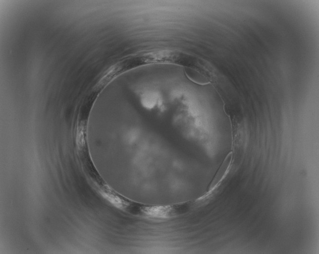 X0000081280191200701181753