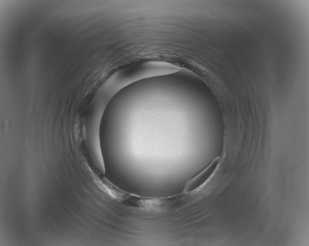 X0000081280192200701181753