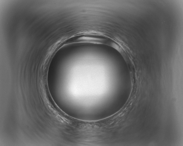 X0000081280193200701181752