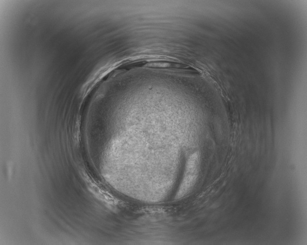 X0000081280194200701181752