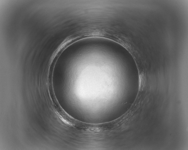 X0000081280195200701181752