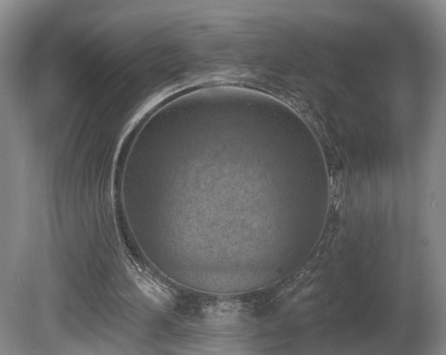 X0000081280196200701181752