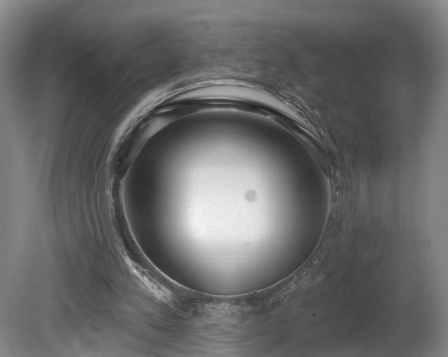 X0000081280197200701181752