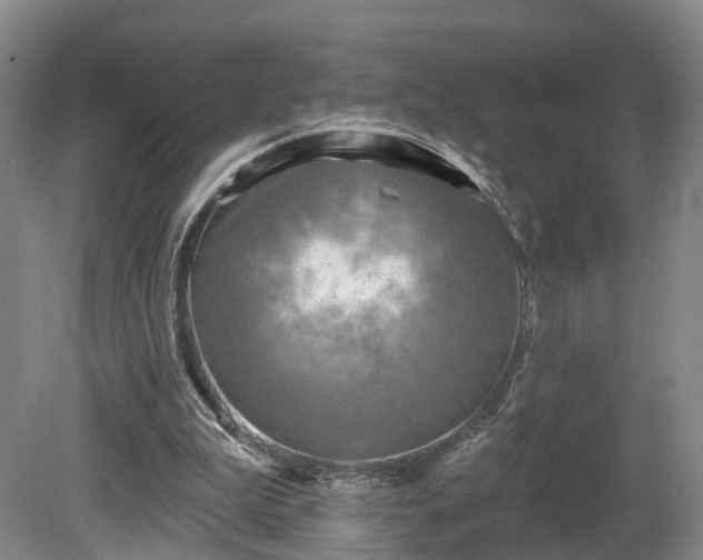 X0000081280199200701181752