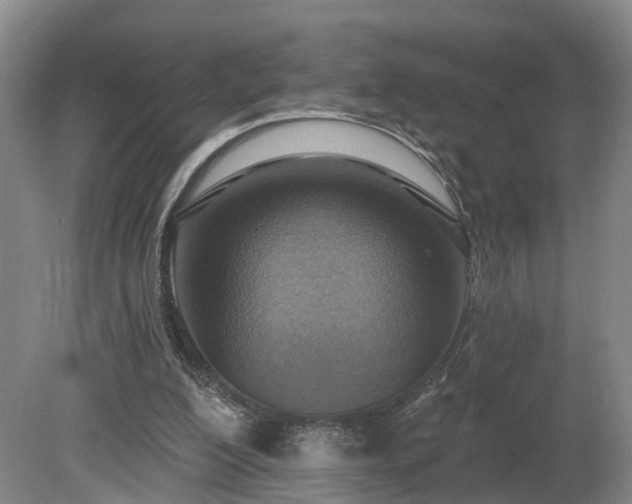 X0000081280200200701181752